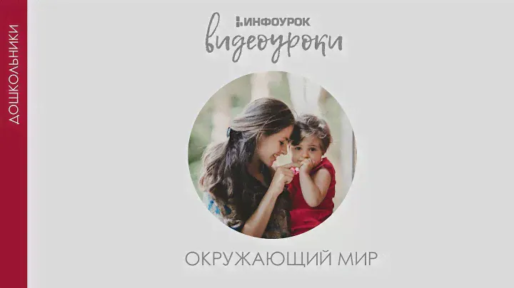 Насекомые | Дошкольники | Окружающий мир #15 | Инфоурок