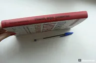 Покой, игра, развитие. Как взрослые растят маленьких детей, а маленькие дети растят взрослых