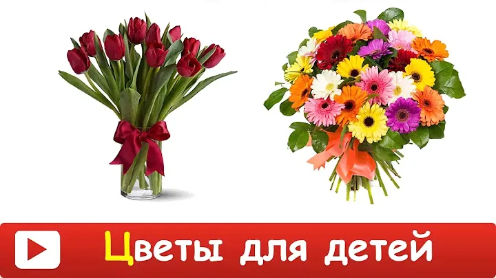 [ УЧИМ ЦВЕТЫ, РАСТЕНИЯ для ДЕТЕЙ ] ОБУЧАЮЩИЙ мультик для ДЕТЕЙ про ЦВЕТЫ, РАСТЕНИЯ. Учим цветы